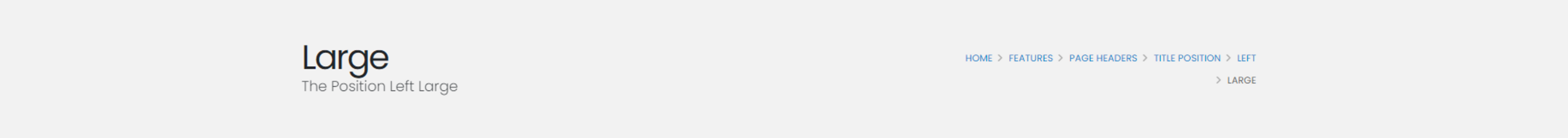 The Position Left Large